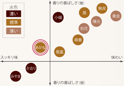 ほうじ茶飲み比べイメージ