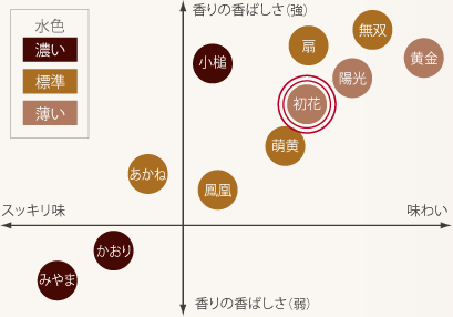 ほうじ茶飲み比べイメージ