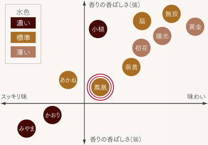 ほうじ茶飲み比べイメージ