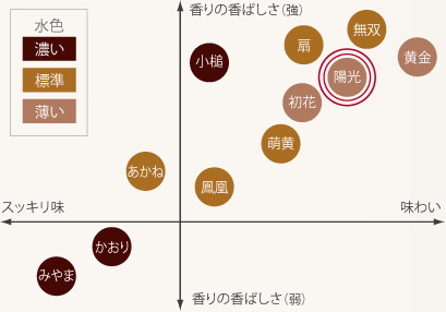 ほうじ茶飲み比べイメージ