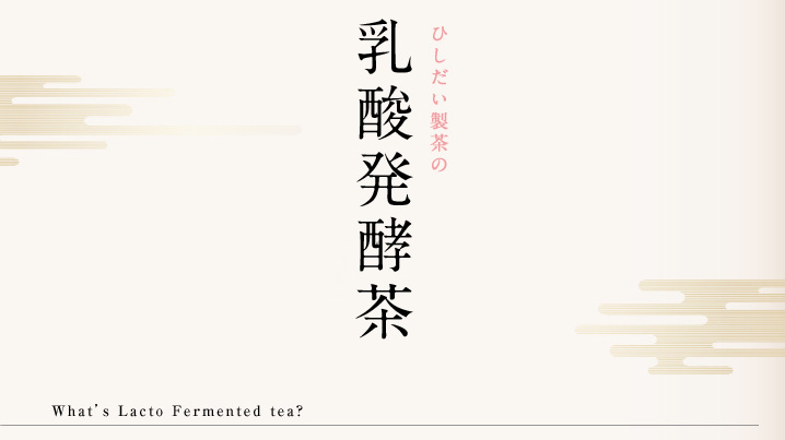 ひしだい製茶の乳酸発酵茶
