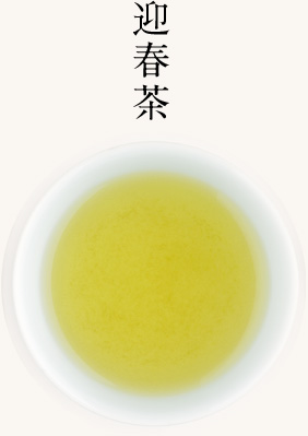 迎春茶