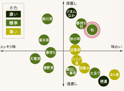 煎茶飲み比べイメージ